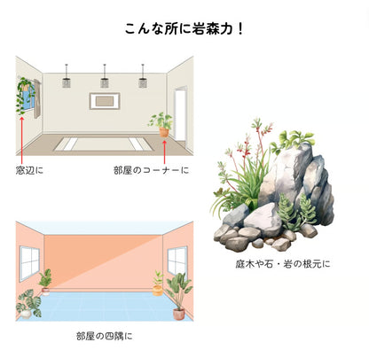 岩森力（がんしんりょく） 岩森土 1リットル + 岩森水 1リットル